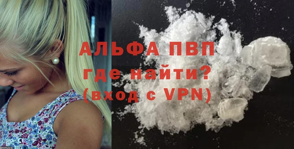 Альфа ПВП Гусев